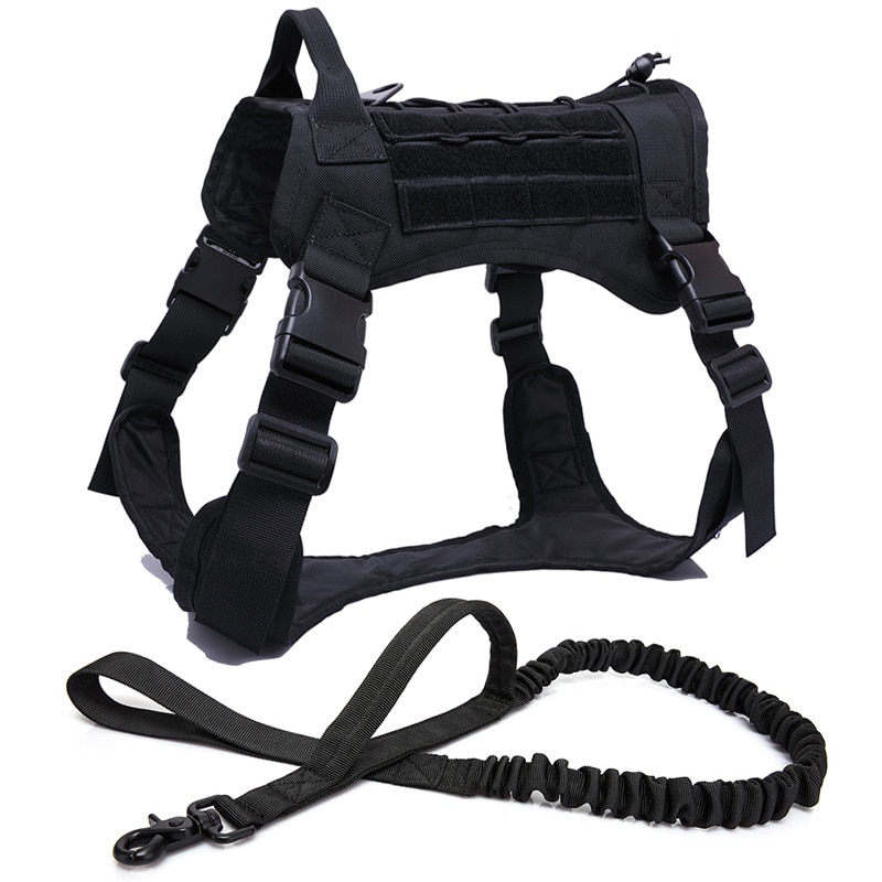 Black Harness and Leash