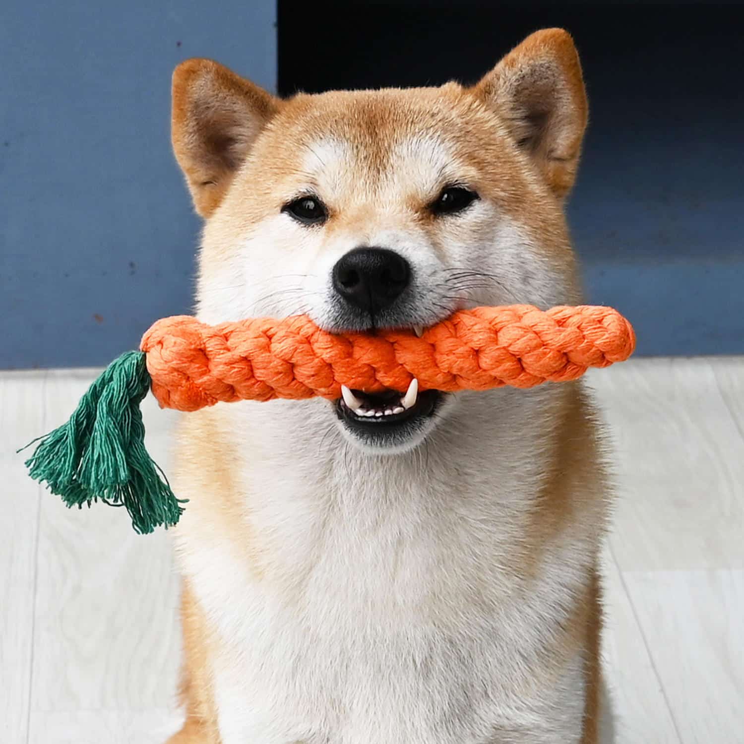 Durable Cotton Rope Carrot Chew Toy for Dogs – Boredom & Teething Relief - Image 2