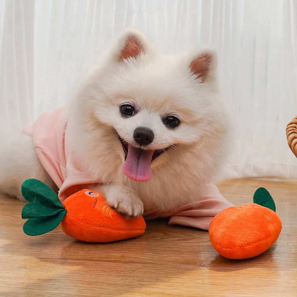 Carrot Shaped Plush Dog Toy with Squeaker - Image 6