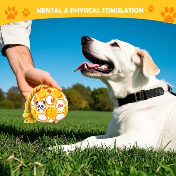 Interactive Bite-Resistant Dog Toy Ball with Bell and Tug Rope - Image 4