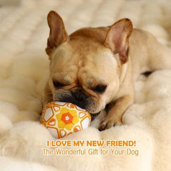 Interactive Bite-Resistant Dog Toy Ball with Bell and Tug Rope - Image 2
