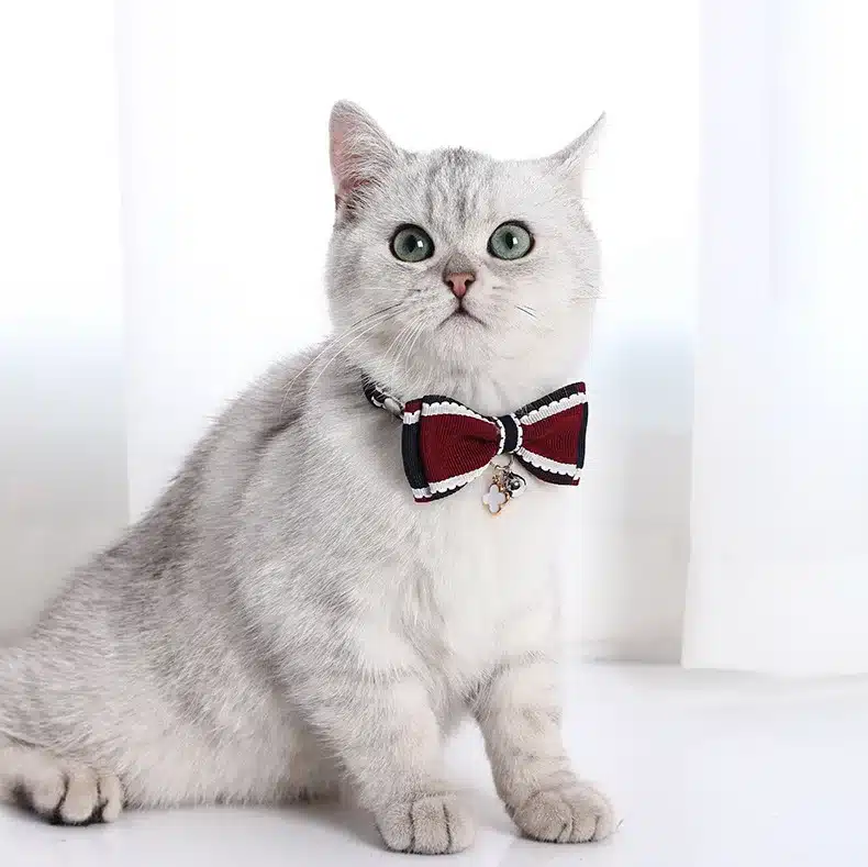 Adjustable Cute Bow Cat & Puppy Collars with Bell – Soft Plush Cartoon Design