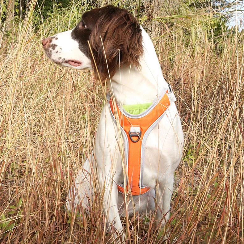 Adjustable Reflective Dog Harness and Leash Set for Medium & Large Dogs