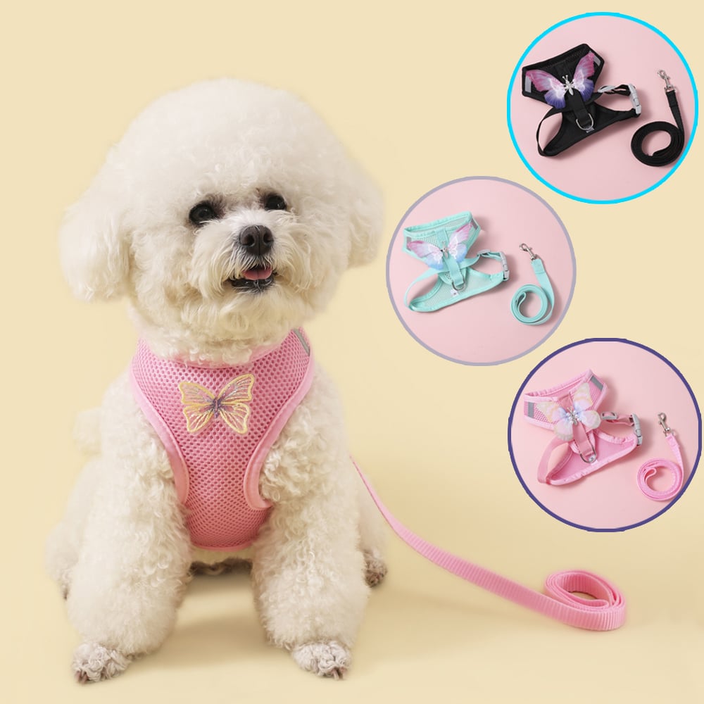 Breathable Small Dog & Cat Harness Set with Butterfly Design for Summer Walks - Image 2