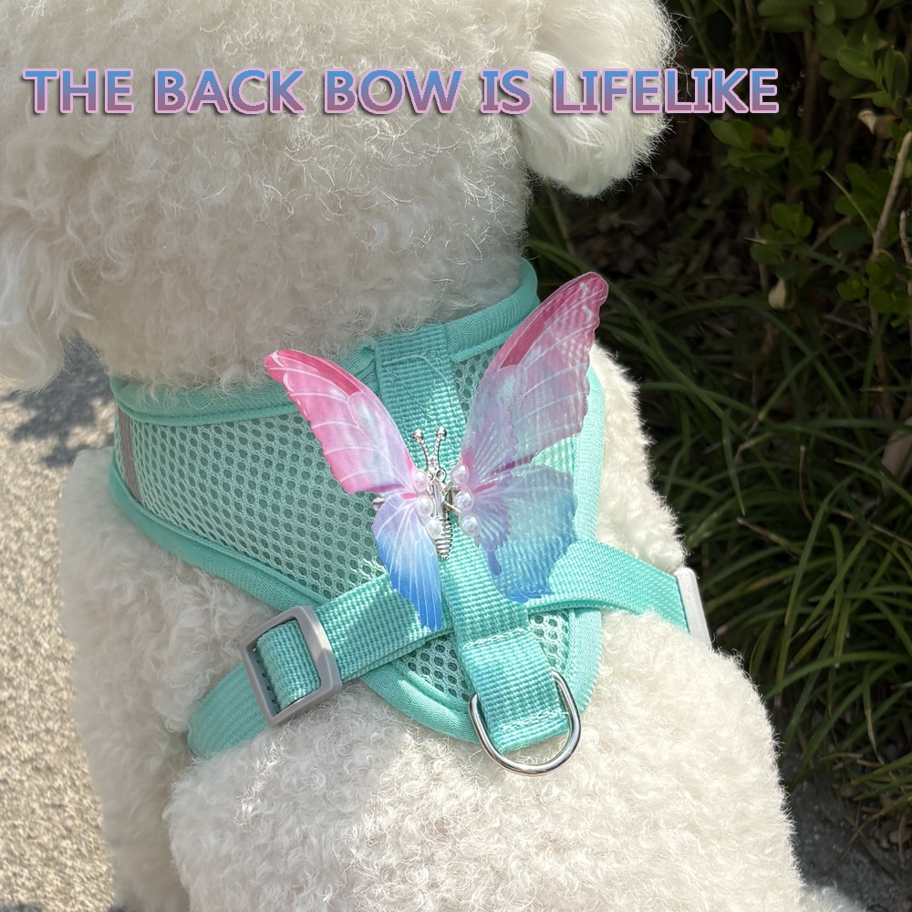 Breathable Small Dog & Cat Harness Set with Butterfly Design for Summer Walks - Image 3