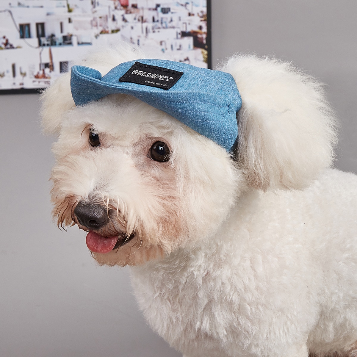Adjustable Dog Sun Hat with UV Protection - Image 3
