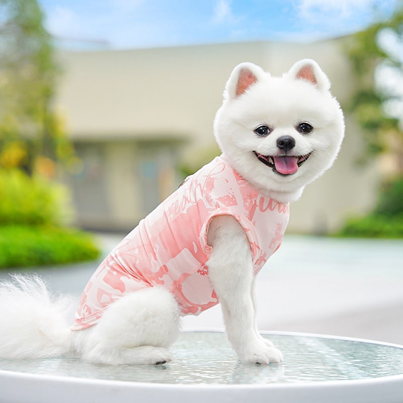 Cooling Ice Silk Dog Sweatshirt – Soft Summer Vest for Small Dogs - Image 4