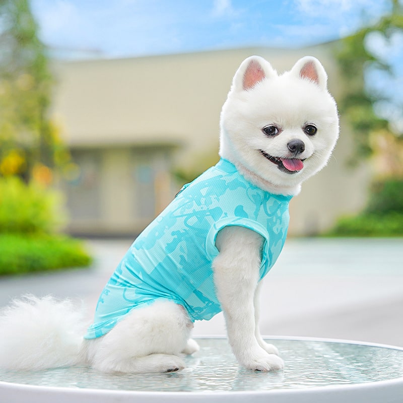 Cooling Ice Silk Dog Sweatshirt – Soft Summer Vest for Small Dogs - Image 6