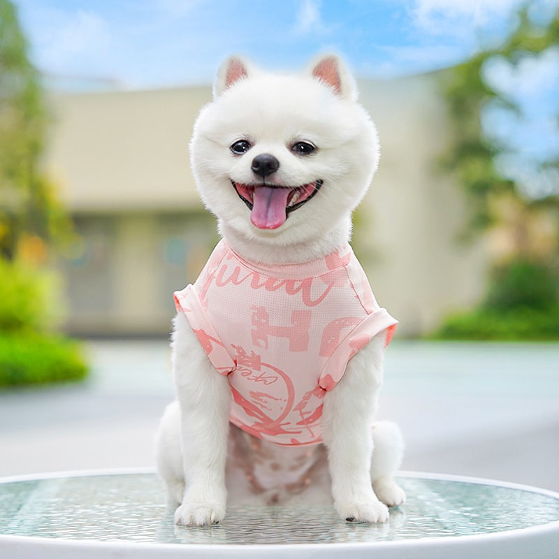 Cooling Ice Silk Dog Sweatshirt – Soft Summer Vest for Small Dogs - Image 3