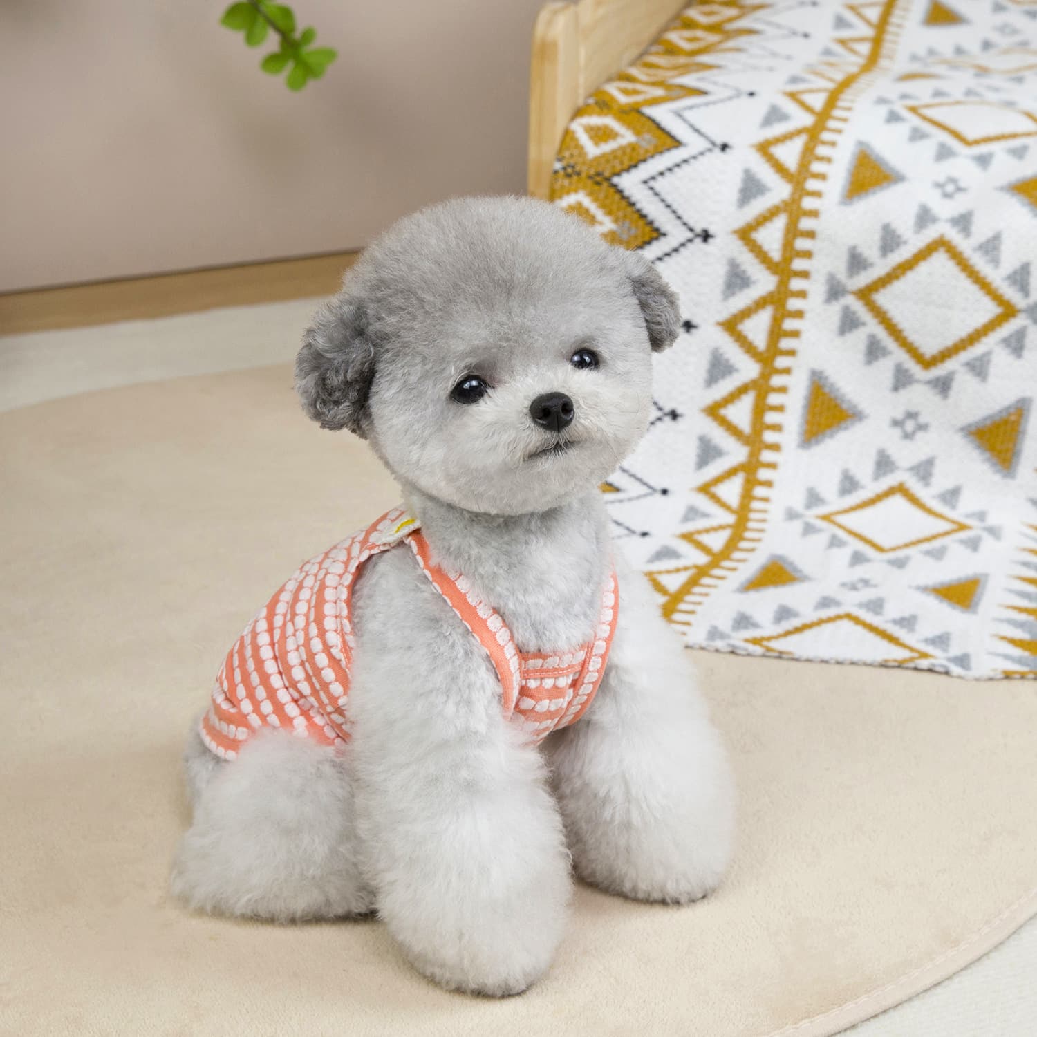 Breathable Summer Dog Vest for Small & Medium Breeds - Image 6