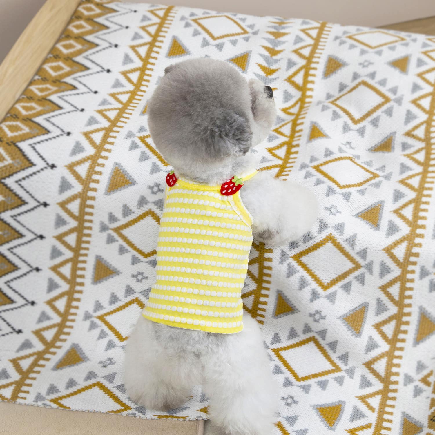 Breathable Summer Dog Vest for Small & Medium Breeds - Image 5