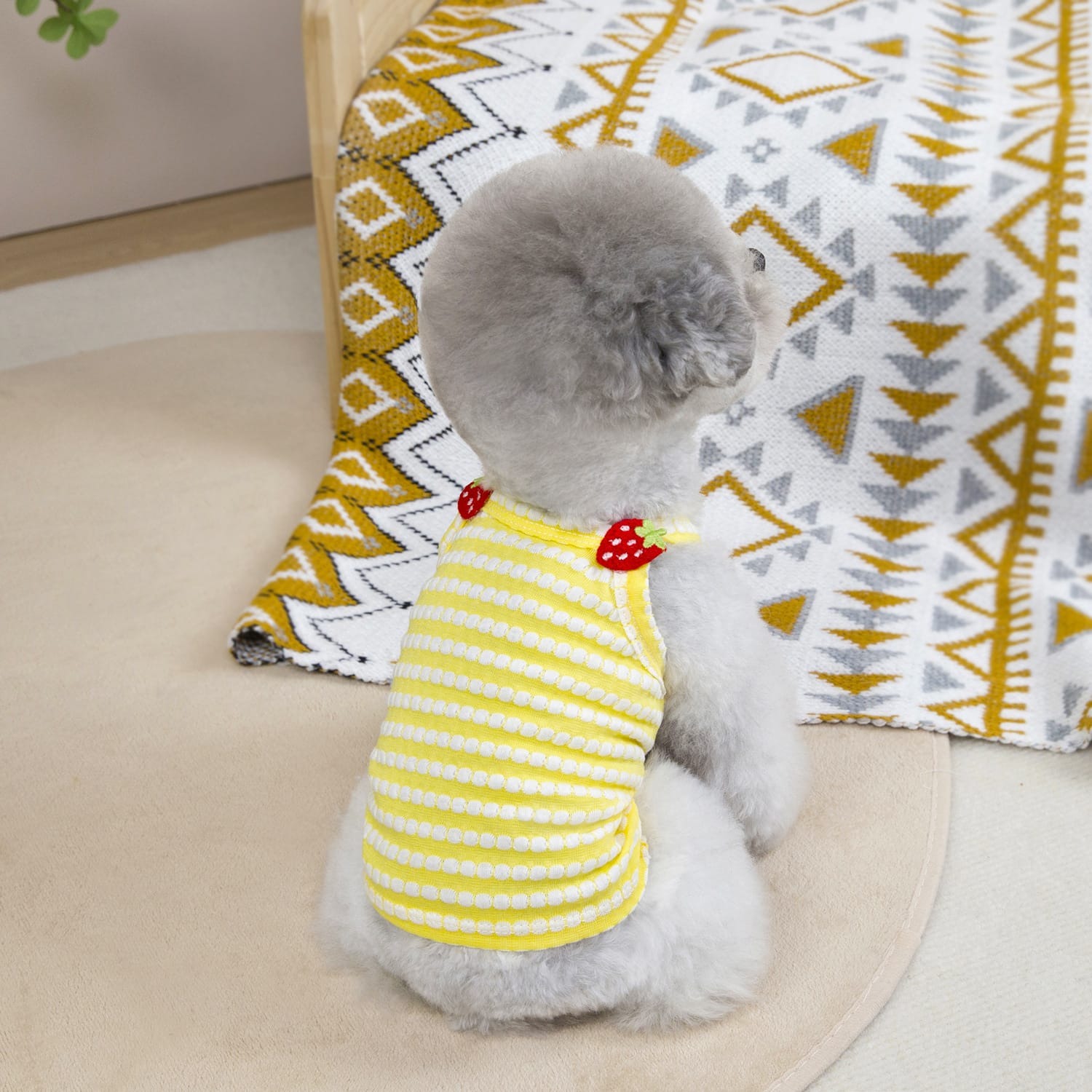 Breathable Summer Dog Vest for Small & Medium Breeds - Image 4