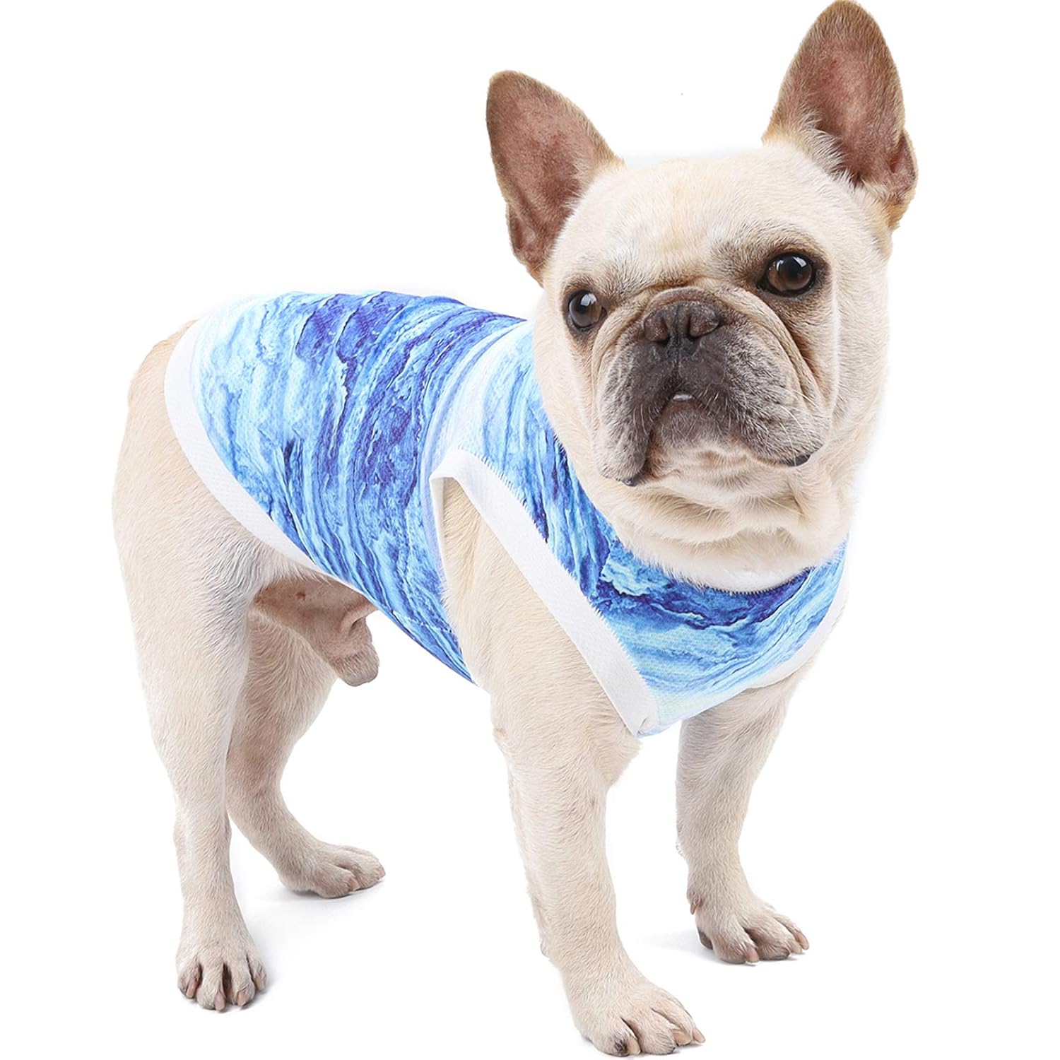 Breathable Summer Cooling Vest for Dogs & Cats - Image 7